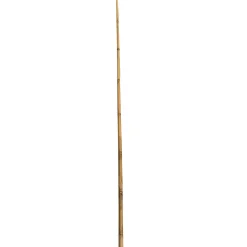 Wingart Bambusstab 240 cm