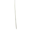 Wingart Bambusstab 120 cm