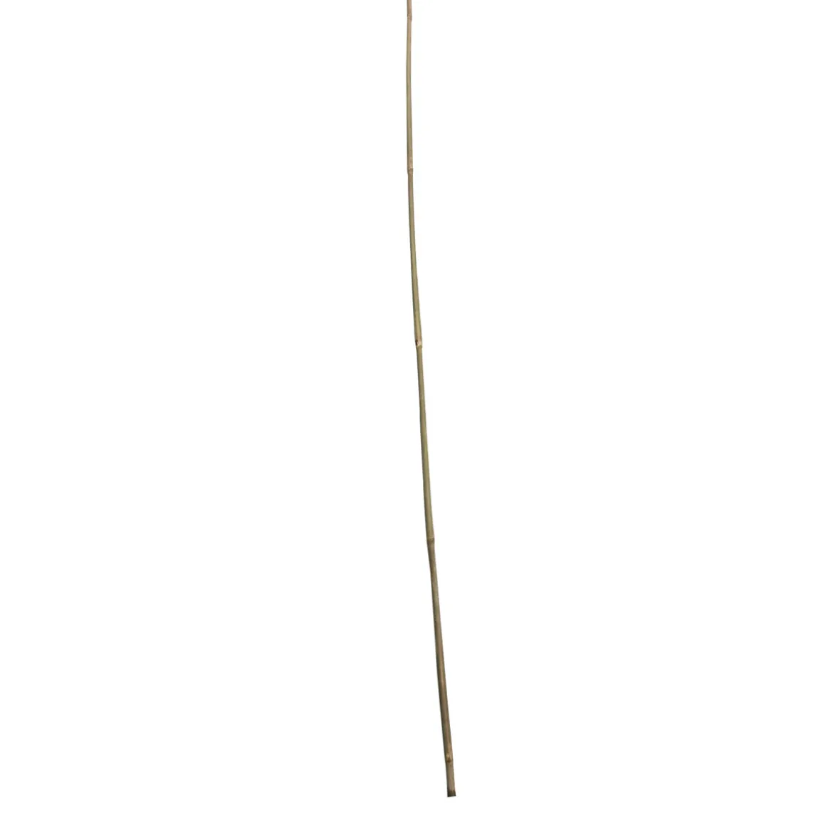 Wingart Bambusstab 120 cm