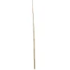 Wingart Bambusstab 180 cm