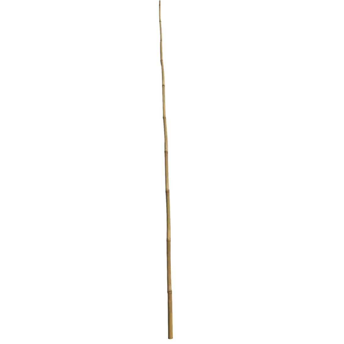 Wingart Bambusstab 180 cm